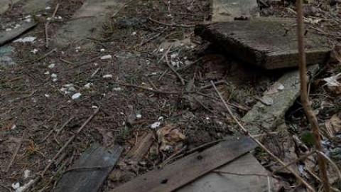 Photo from March2014