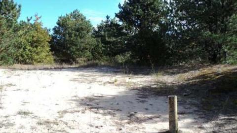 Gallery - Inverhuron-(ghost-town)11.jpg