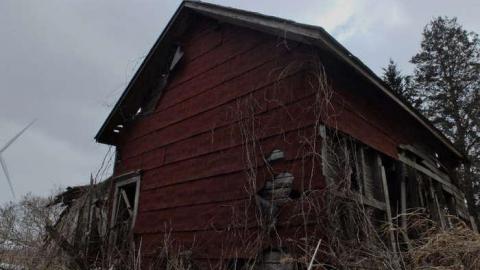 March2014 - DSCF4174.jpg