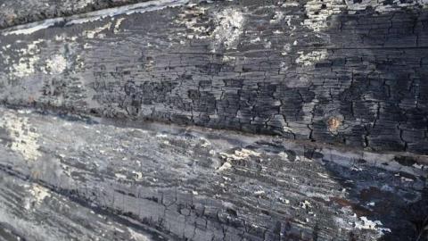 March 2014 - Jackfish-(ghost-town)16.jpg