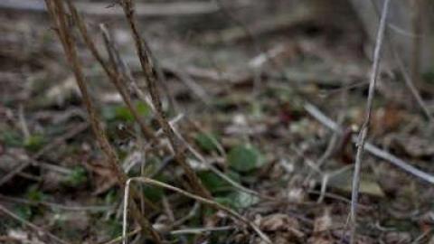 Photo from WindSpill