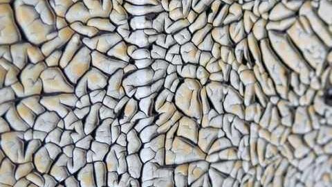 March 2014 - Danger11.jpg