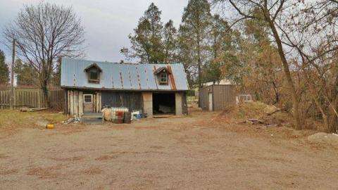 Dog Days Winter 2013 - Maybe-Tomorrow34.jpg