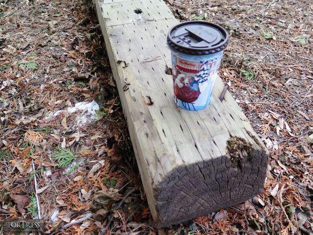 Maybe Tomorrow photo 5