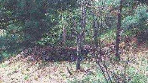 Andy's Photos - Burwash-Correctional-Prison13.jpg