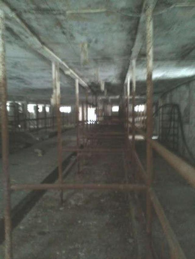 Vintage Farm in Prescott photo 5