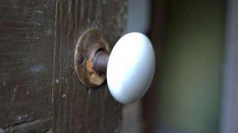 Shedding - Skinned60.jpg