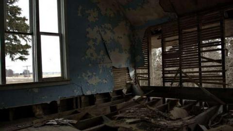 Shedding - Skinned62.jpg