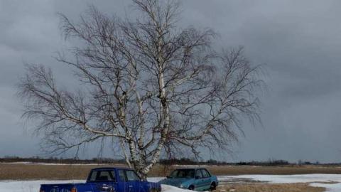 March2014 - DSCF4209.jpg