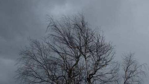 March2014 - DSCF4217.jpg