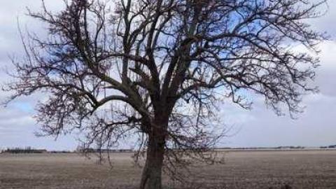 March 2014 - DSC06723.jpg