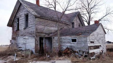 March 2014 - DSC07696.jpg