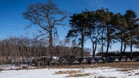 Harding Smith Line - The-Smiths-Home49.jpg