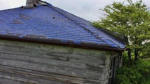 Photo from Blue Mystery 2013