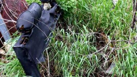 Photo from Blue Mystery 2013