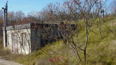 Thatch's Gallery - CFB-Edgar275.jpg