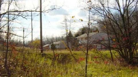 Thatch's Gallery - CFB-Edgar276.jpg