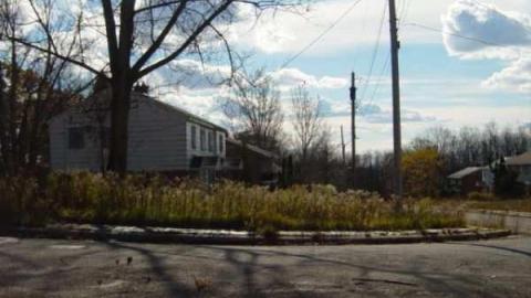 Thatch's Gallery - CFB-Edgar278.jpg