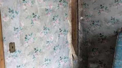 March 2014 - DSC07328.jpg