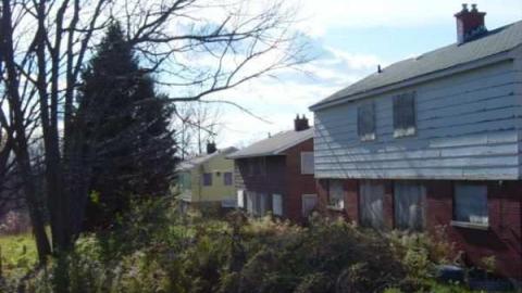 Thatch's Gallery - CFB-Edgar280.jpg