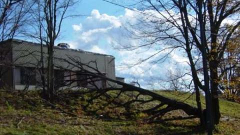 Thatch's Gallery - CFB-Edgar281.jpg