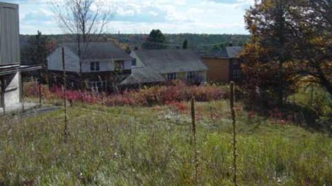 Thatch's Gallery - CFB-Edgar282.jpg