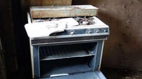 Gutted and Not Worthy photo 4