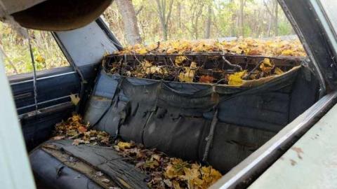 Nov2013 - The-Works-Eagle55.jpg