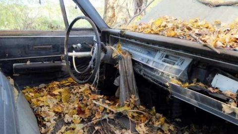 Nov2013 - The-Works-Eagle99.jpg