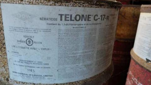 Nov2013 - The-Works-Eagle102.jpg