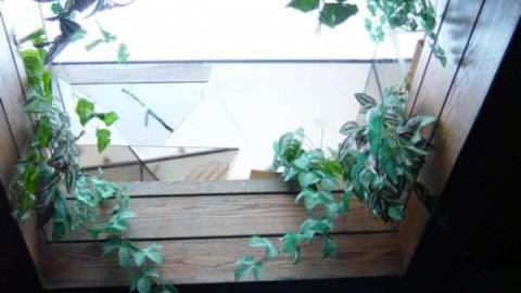 Thatch's Gallery - CFB-Edgar292.jpg