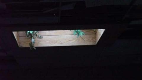 Thatch's Gallery - CFB-Edgar293.jpg