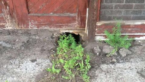 Mattawa Train Station - Mattawa-Train-Station11.jpg