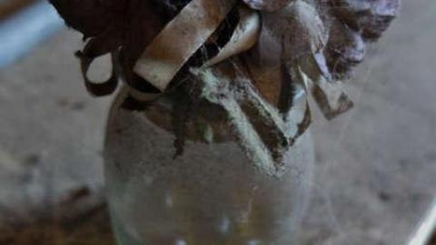 March2014 - DSCF4658.jpg