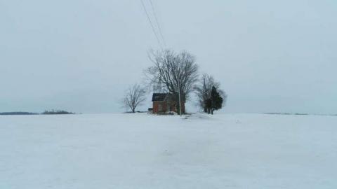 Toyland - Mileys-Candy-Land66.jpg