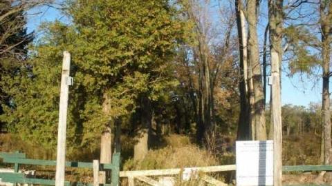 Olalondo - Camp-Olalondo4.jpg