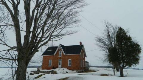 Toyland - Mileys-Candy-Land2.jpg