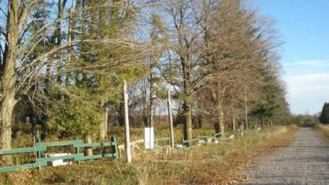 Olalondo - Camp-Olalondo5.jpg