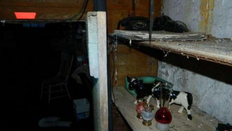 Toyland - Mileys-Candy-Land81.jpg