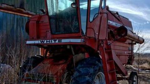 Trooper - DSC_4596.jpg