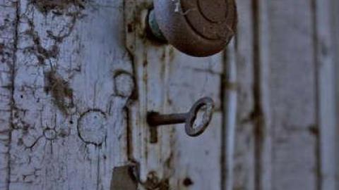 Trooper - DSC_4564.jpg