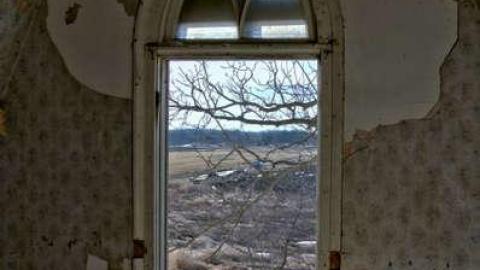 Trooper - DSC_4545.jpg