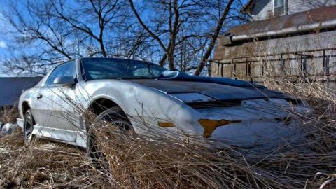 Trooper - DSC_4529_8_30_Detail.jpg