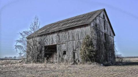 Colour Blind - Achromatopsia19.jpg