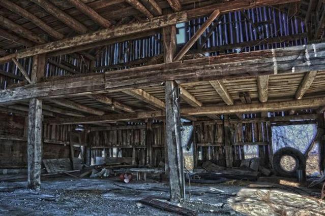 Achromatopsia photo 5