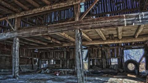 Achromatopsia photo 5