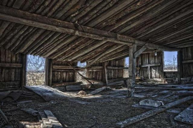 Achromatopsia photo 4