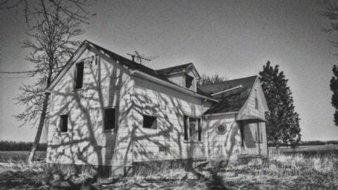 Achromatopsia photo 4