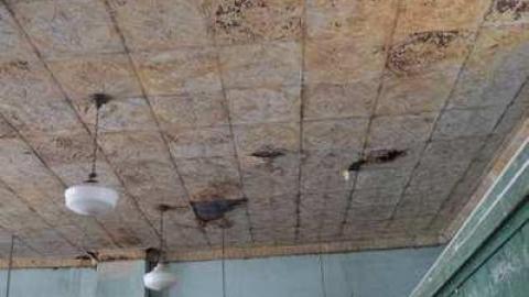 Photo from Dashwood school - Jan 2014