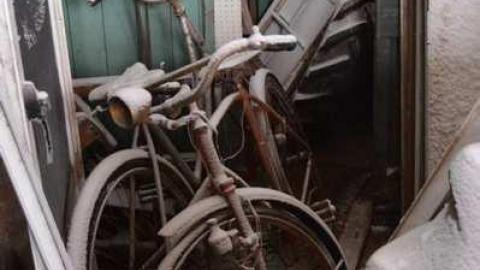 Dashwood school - Jan 2014 - Old-Dashwood-area-School37.jpg